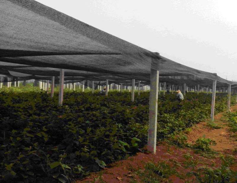 40 percent shading for greenhouse Black Greenhouse Shade Cloth