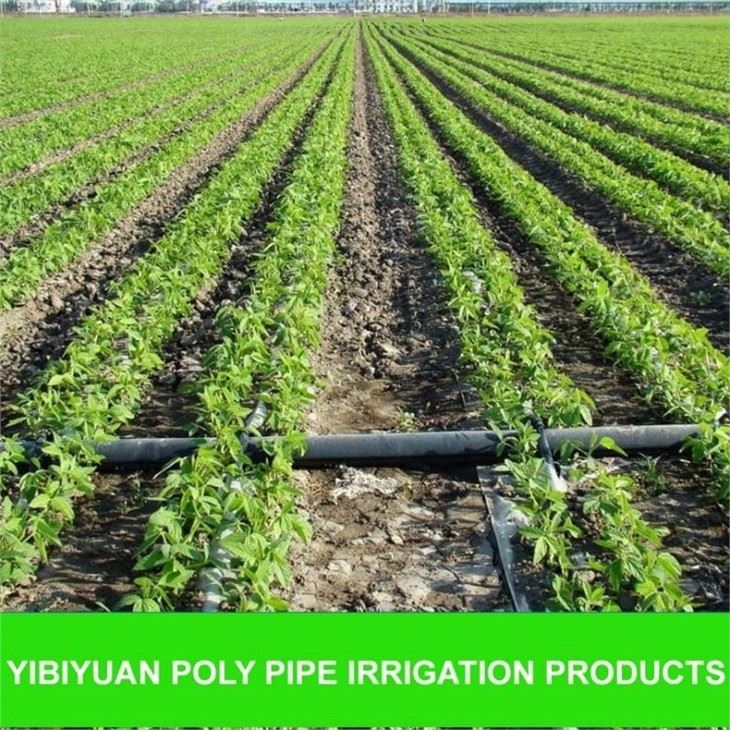 Poly Pipe Irrigation